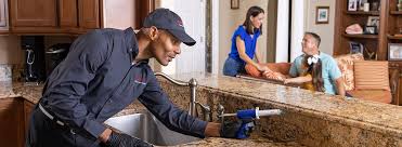 Trusted Kings Mills, OH Pest control Experts